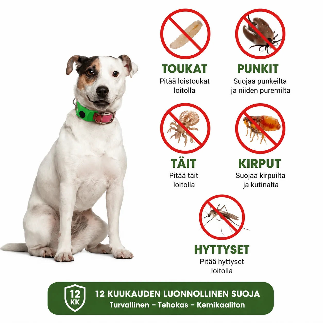 Luonnollinen suojariipus – 12 kuukauden suoja kirppuja, punkkeja ja loisia vastaan