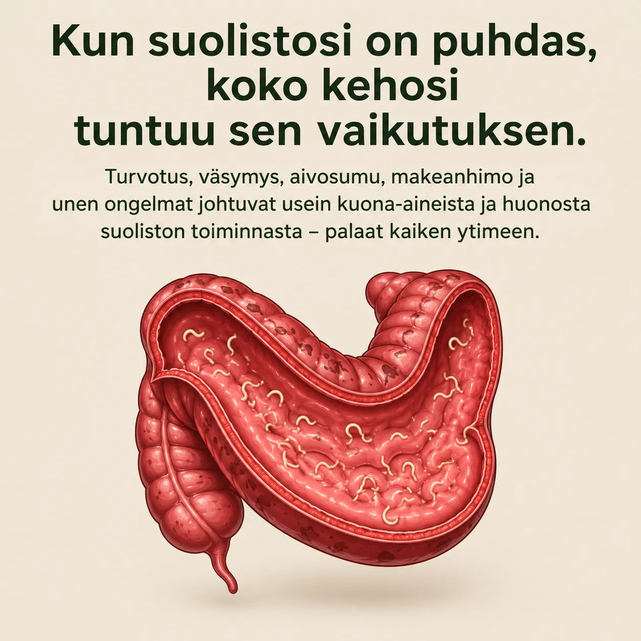 Risiiniöljy-suolistokääresetti