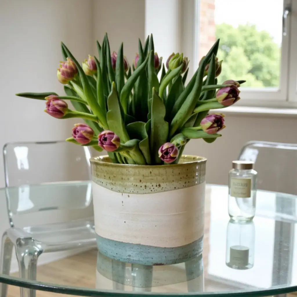 Tricolor Tamegroute Indoor Planters – Handmade Ceramic Pots Set image 2